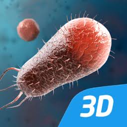 Mozaik es una aplicación en la que se pueden visualizar diversas animaciones 3D en donde de pueden ilustrar de una mejor manera la morfología y estrcuutra de las bacterias, entre otras cosas.
